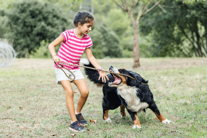 dog bite attack