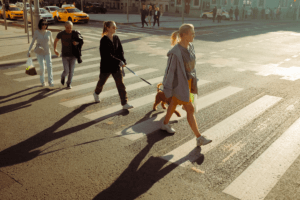 Right of Way Rules in California. Pedestrians crossing at a crosswalk
